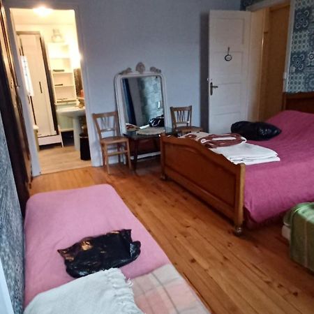 Chez Virginie - chambre du Bourg Lourdes Extérieur photo